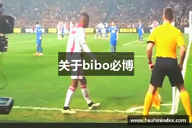 关于bibo必博